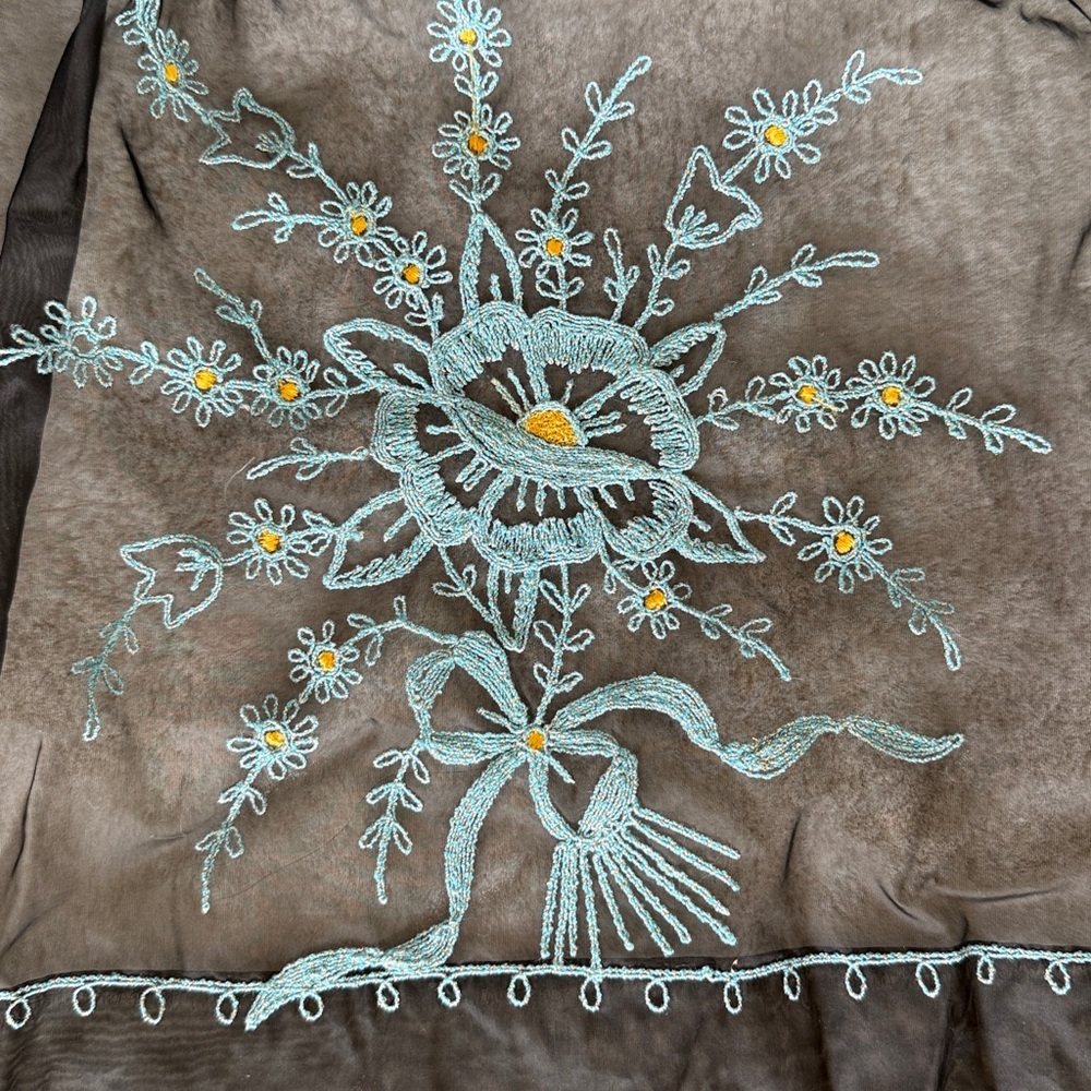 Vintage Sheer Black Embroidered Floral Apron - Picture 12 of 12